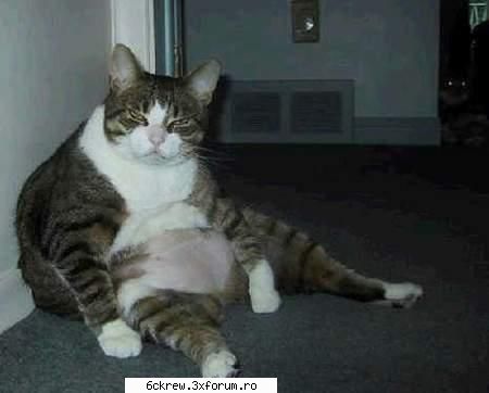 poze funny - hic.........am baut km mult - Aberatii !