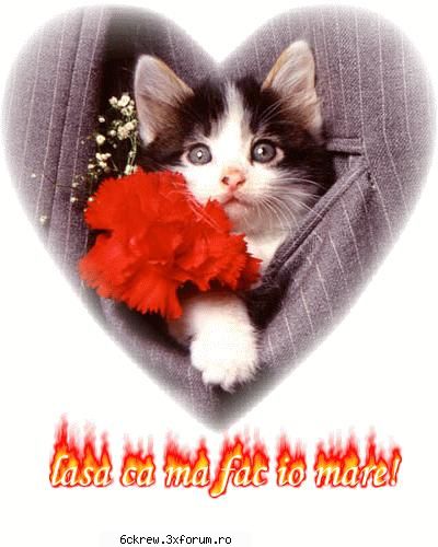poze funny - sunt mik.........da shi kn' am sa fiu mare - Aberatii !