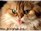 poze funny - sunt mai tare:-P - Aberatii !