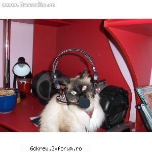 poze funny - andrutza - Aberatii !